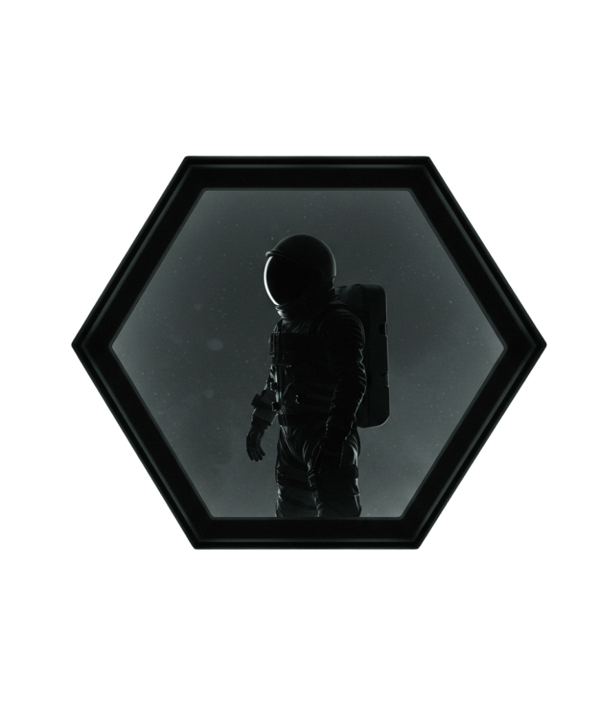 about us infinion