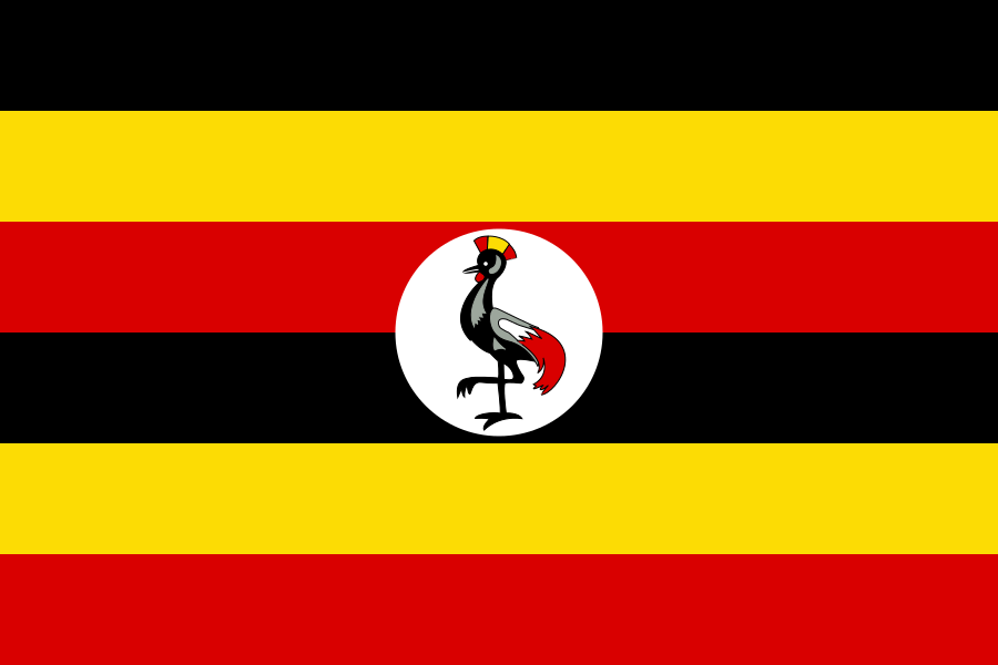 Flag 6